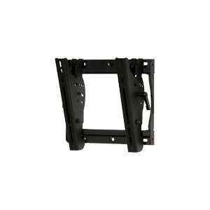Mounting kit ( bracket, tilt wall plate, security fasteners ) for LCD 