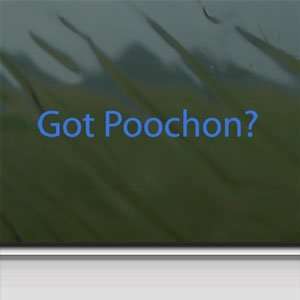  Got Poochon? Blue Decal Bichon Frise Poodle Car Blue 