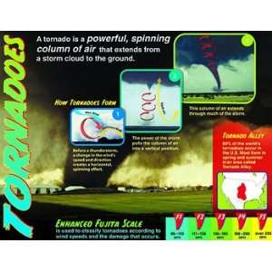  17 Pack TREND ENTERPRISES INC. TORNADOES LEARNING CHART 