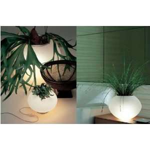  Biosfera, 1lt Table Lamp, Opal/S.Nkl