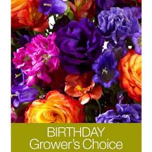 Birthday Growers Choice with FREE Vase Grocery & Gourmet Food