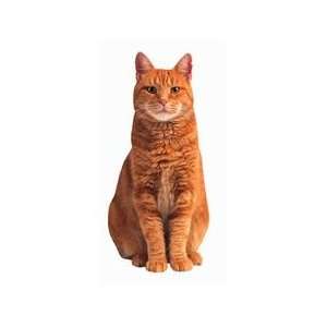  Red Tabby Cat Diecut Magnet 