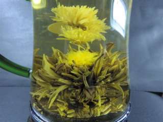 16 Kinds Blooming Tea + 500ml Tall Glass Tea Pot  