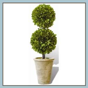  Boxwood Topiary Double Ball 20 inch, Set of 2