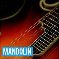 Addario J74 3 SETS Mandolin 11 40 Medium MSRP$35.95 AUTHORIZED 