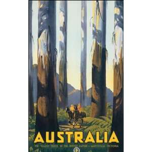  AUSTRALIA VICTORIA THE TALLEST TREES IN THE BRITISH EMPIRE 
