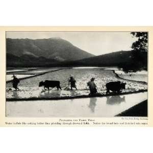  1937 Print China Rice Paddy Field Agriculture Farmer 