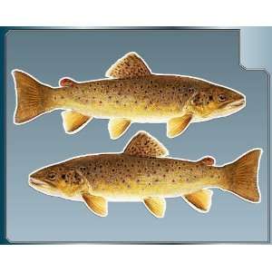 BROWN TROUT Fish vinyl decals Set of 2 Stickers Sport Fishing Decal