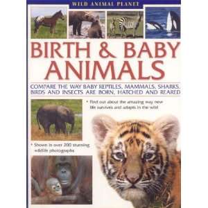   , mammals, sharks, birds and ins [Paperback] Michael Chinery Books