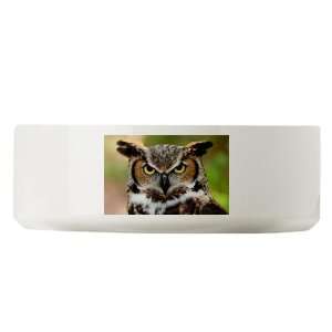    Large Dog Cat Food Water Bowl Great Horned Owl 