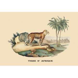  Tigre dAfrique (Tiger) 28x42 Giclee on Canvas
