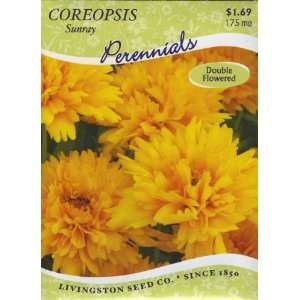  Coreopsis   Sunray Patio, Lawn & Garden