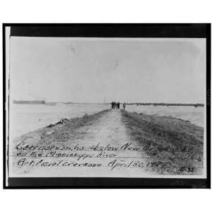  Caernarvon,Louisiana,LA,1927 Flood