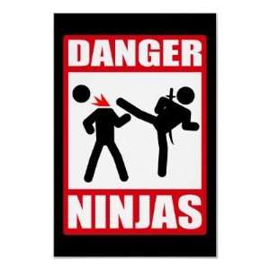  Danger Ninjas Poster