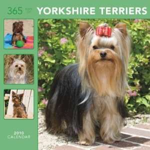  365 Days of Yorkshire Terriers 2010 Wall Calendar Office 