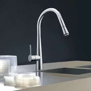   Handle High Arc Pull Out Kitchen Sink Faucet, Chrome