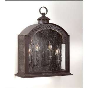   Black Camden Transitional Four Light Outdoor Wall Sconce from the Camd
