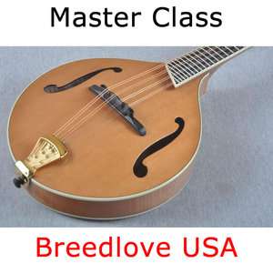   Class Alpine Mandolin   Made in USA Custom Shop 875934001900  
