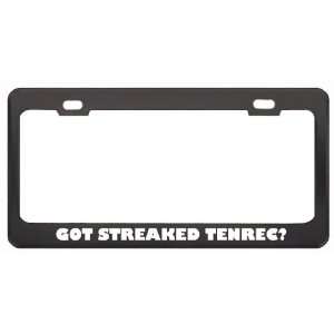 Got Streaked Tenrec? Animals Pets Black Metal License Plate Frame 