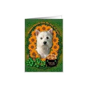  St Patricks Day West Highland Terrier Pot of Gold Card 