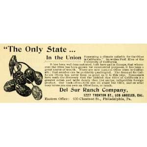 1898 Ad Del Sur Ranch L. A. California Olive Orchard   Original Print 