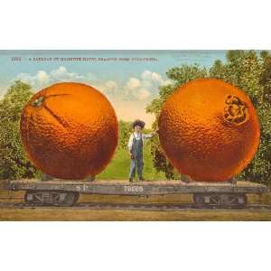  Carload,mammoth navel oranges,boy,Edward H Mitchell 