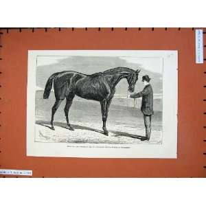  1876 Petrarch Sport Guineas Stakes Newmarket Horse Race 