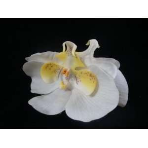  NEW Double White Latex Orchid Flower Hair Clip, Limited. Beauty