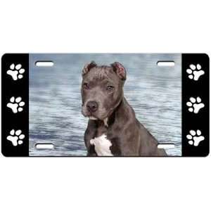  American Staffordshire Terrier License Plate Sports 