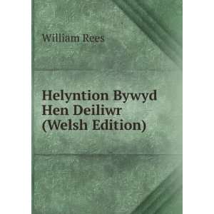  Helyntion Bywyd Hen Deiliwr (Welsh Edition) William Rees Books