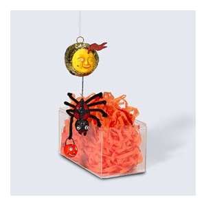   56 Glitterville Spin Me To The Moon Spider Ornament