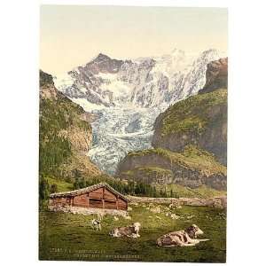   of Grindelwald, chalet and Vischerhorn, Bernese Oberland, Switzerland