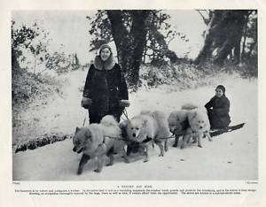 SAMOYED Sled Sledge Dog Team and Ladies Vintage Print  