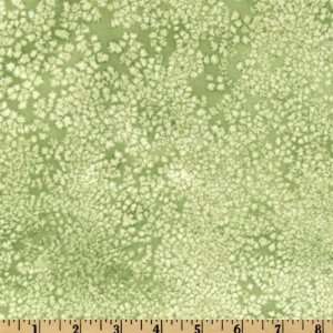  44 Wide Snow Show Frost Texture Light Green Fabric By 