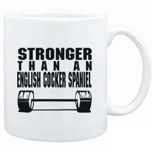    STRONGER THAN A English Cocker Spaniel  Dogs