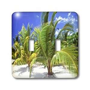  Florene Trees   Baby Coconut Palms On Beach   Light Switch 