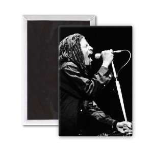  Terence Trent Darby   3x2 inch Fridge Magnet   large 