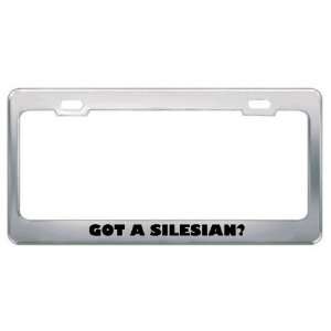 Got A Silesian? Nationality Country Metal License Plate Frame Holder 