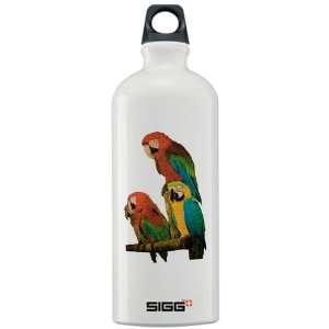  Sigg Water Bottle 1.0L Family of Parrots 
