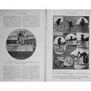  1913 Horses Show Jumping Olympia Sport Photograph
