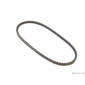  Conti W1002 33104   V Belt Automotive