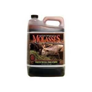  Molasses Livestock, 1 Gal