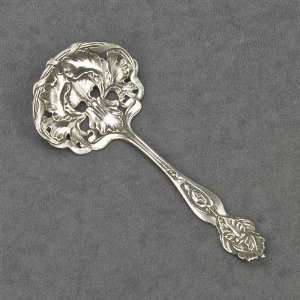    Bonbon Spoon by George W. Shiebler, Sterling Iris