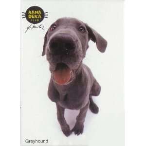  Hanadeka Dog   Mini Puzzle   Greyhound