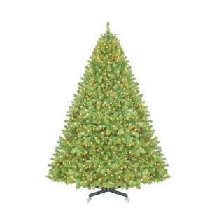  Sequoia Pre Lit Full Christmas Tree