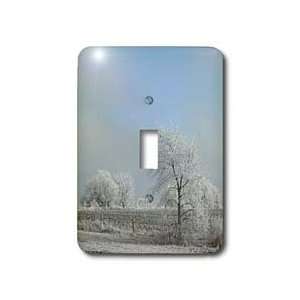   White Horse by White Tree   Light Switch Covers   single toggle switch