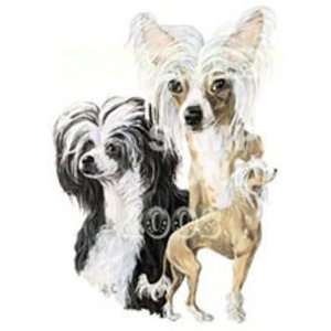  Chinese Crested Night Light