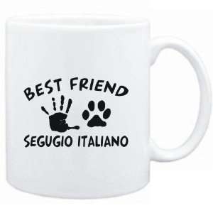    MY BEST FRIEND IS MY Segugio Italiano  Dogs