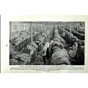  c1920 SHEEP WOOL SHOWROOM HOBART TASMANIA FLEECE