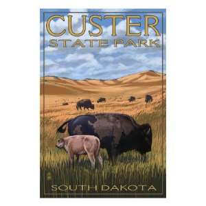  Custer State Park   Buffalo Herd and Calf, c.2008 Premium 